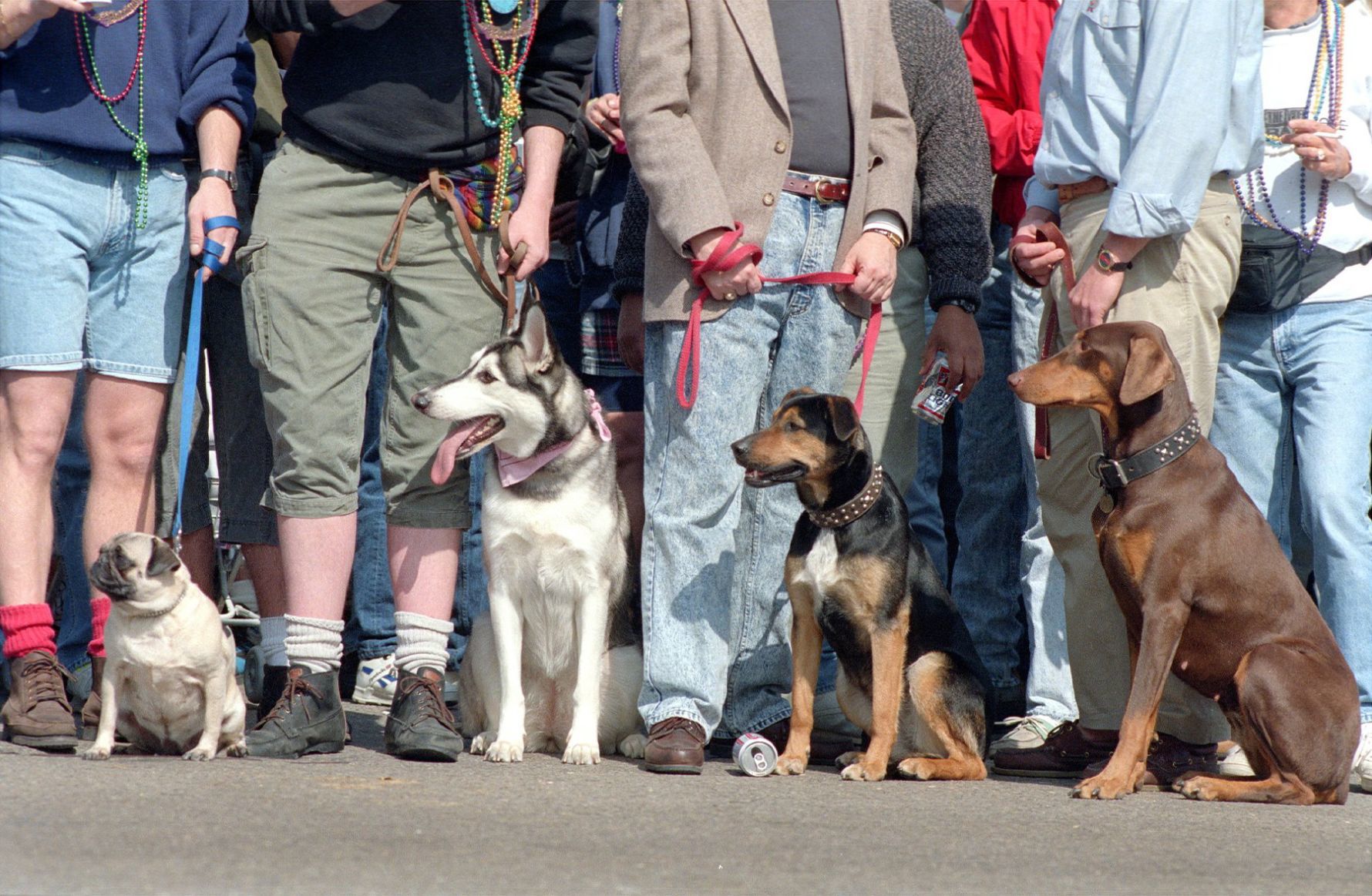 1992: Soulard Mardi Gras Celebrates 40 Years of Fun